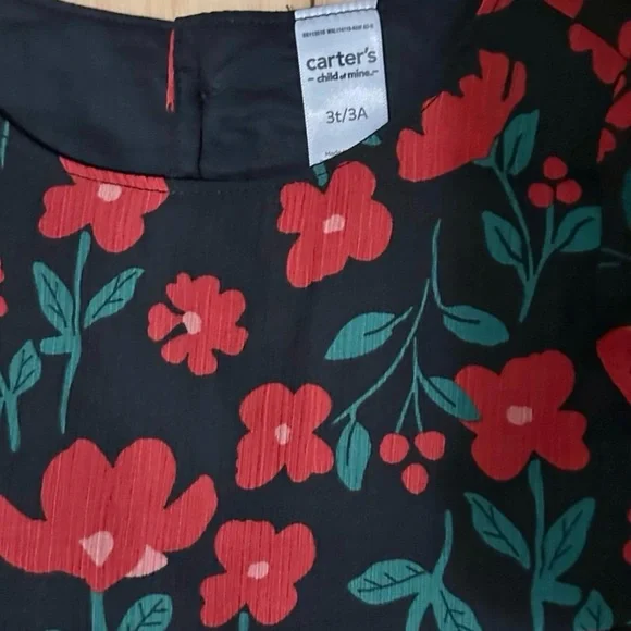 NWT-Carters , Toddler girl Dresses 3T - Picture 4 of 9
